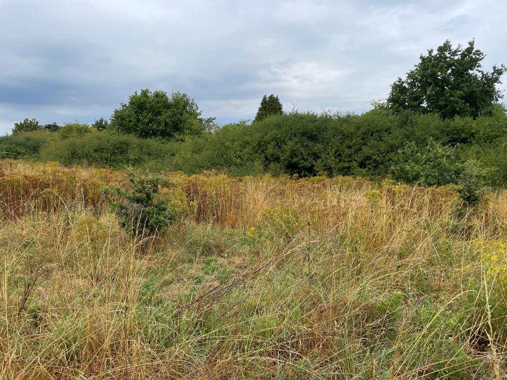 Lot: 101 - JUST UNDER 4.5 ACRES OF LAND IN STRATEGIC LOCATION -